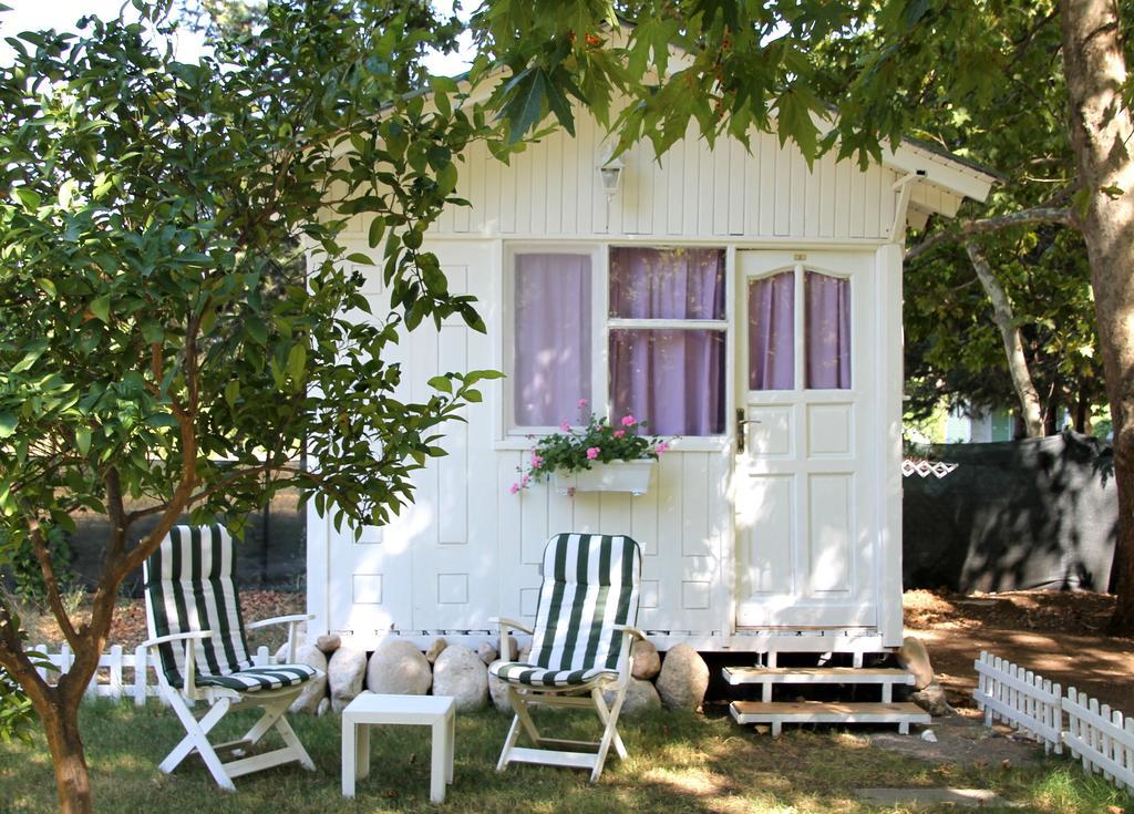 Defne Pension Cirali Room photo