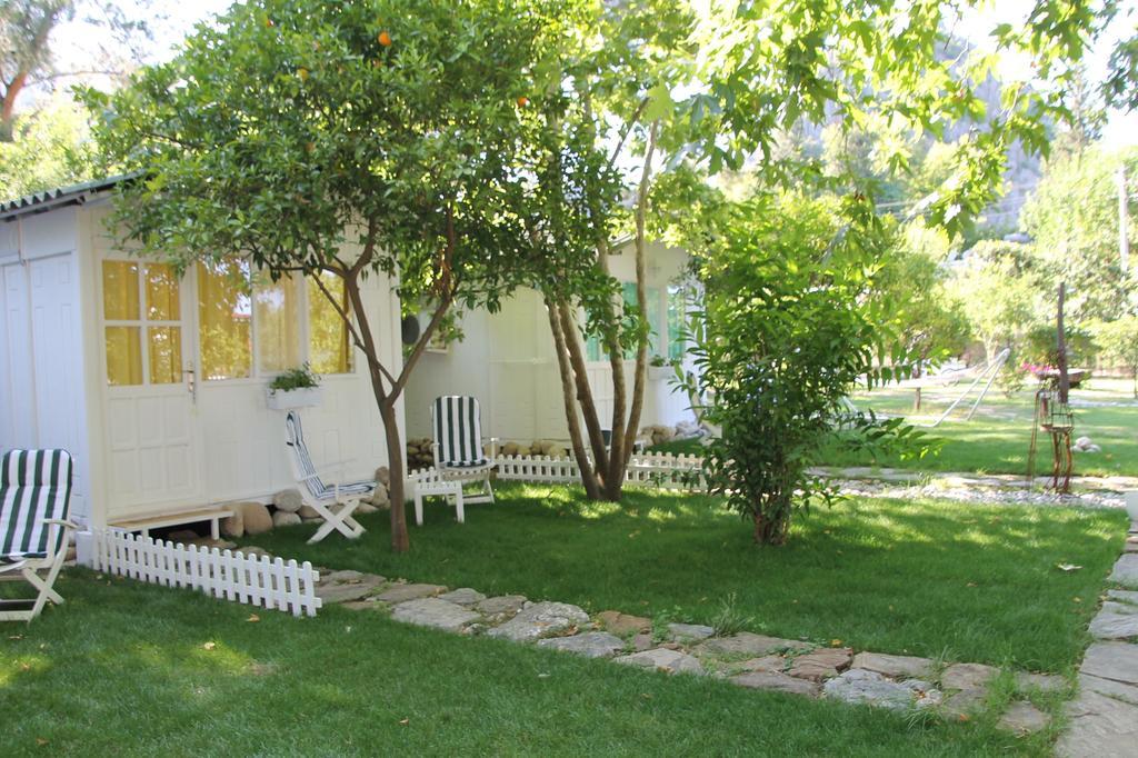 Defne Pension Cirali Room photo